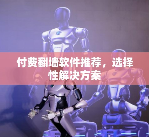 付费翻墙软件推荐，选择性解决方案