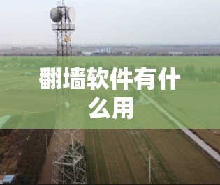 翻墙软件有什么用 翻墙软件有什么用