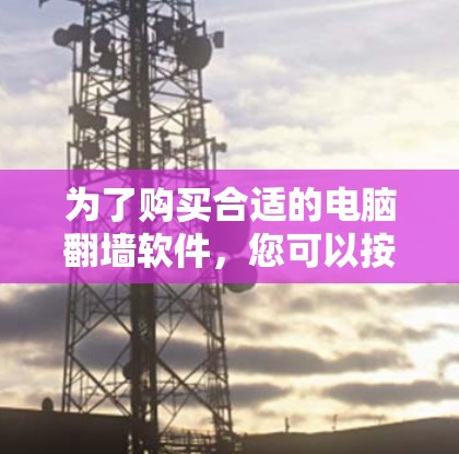 为了购买合适的电脑翻墙软件，您可以按照以下步骤进行