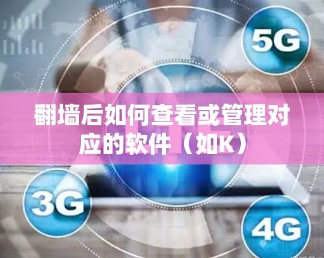 翻墙后如何查看或管理对应的软件(如K) 翻墙后如何查看或管理对应的软件(如K)