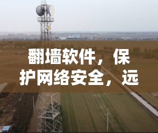 翻墙软件,保护网络安全,远离恶意攻击的必备工具 翻墙软件,保护网络安全,远离恶意攻击的必备工具