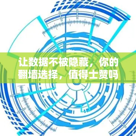 让数据不被隐藏,你的翻墙选择,值得士赞吗? 让数据不被隐藏,你的翻墙选择,值得士赞吗?