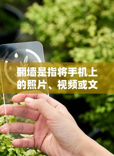 翻墙是指将手机上的照片、视频或文件从手机上传到另一台服务器,然后下载到电脑上,以方便分享或保存。以下是对常见的翻墙软件的详细分析和推荐 翻墙是指将手机上的照片、视频或文件从手机上传到另一台服务器,然后下载到电脑上,以方便分享或保存。以下是对常见的翻墙软件的详细分析和推荐