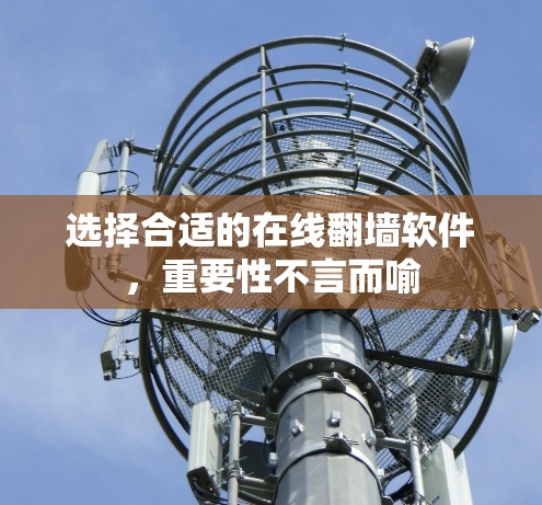 选择合适的在线翻墙软件,重要性不言而喻 选择合适的在线翻墙软件,重要性不言而喻