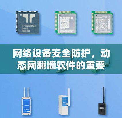 网络设备安全防护，动态网翻墙软件的重要性及其使用指南