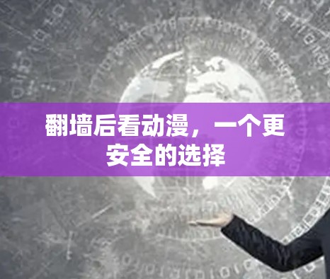 翻墙后看动漫,一个更安全的选择 翻墙后看动漫,一个更安全的选择