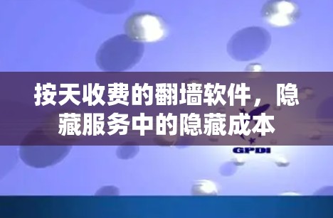 按天收费的翻墙软件,隐藏服务中的隐藏成本 按天收费的翻墙软件,隐藏服务中的隐藏成本