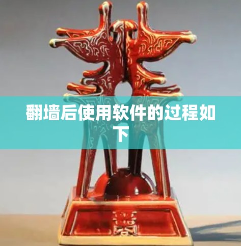 翻墙后使用软件的过程如下