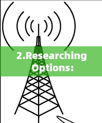 2.Researching Options: 2.Researching Options: