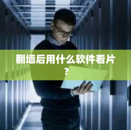 翻墙后用什么软件看片? 翻墙后用什么软件看片?