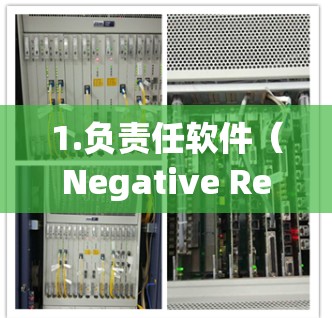 1.负责任软件（Negative Responsibility Software NRS）