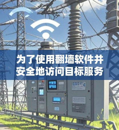 为了使用翻墙软件并安全地访问目标服务器，以下是一个有序的步骤指南