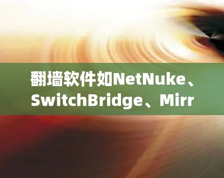 翻墙软件如NetNuke、SwitchBridge、MirrorSite等，通过阻止某些网站访问，保护用户网络安全。以下是使用这些软件的简单步骤
