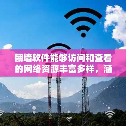 翻墙软件能够访问和查看的网络资源丰富多样，涵盖了多个方面，包括本地网络、第三方网站、实时视频以及动态内容等。以下是详细的内容