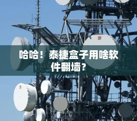 哈哈！泰捷盒子用啥软件翻墙？