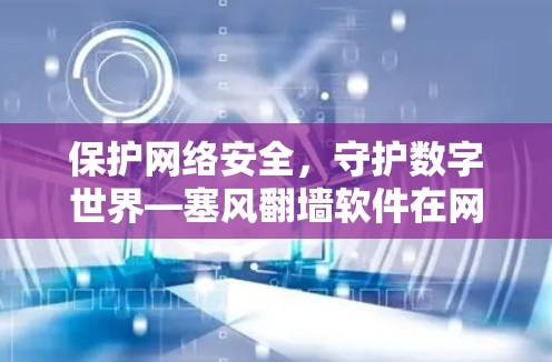 保护网络安全，守护数字世界—塞风翻墙软件在网络安全中的作用