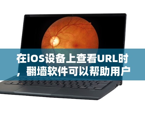 在iOS设备上查看URL时，翻墙软件可以帮助用户访问外部网站的资源。以下是一些适合iOS设备使用翻墙软件的选项