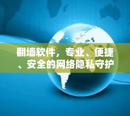 翻墙软件,专业、便捷、安全的网络隐私守护者 翻墙软件,专业、便捷、安全的网络隐私守护者