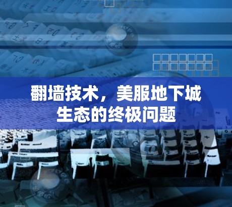 翻墙技术，美服地下城生态的终极问题