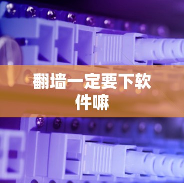 翻墙一定要下软件嘛
