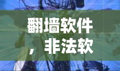 翻墙软件，非法软件下载的双刃剑