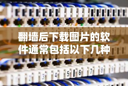 翻墙后下载图片的软件通常包括以下几种类型 翻墙后下载图片的软件通常包括以下几种类型