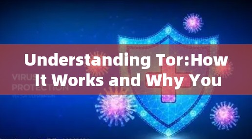 Understanding Tor:How It Works and Why You Should Use It