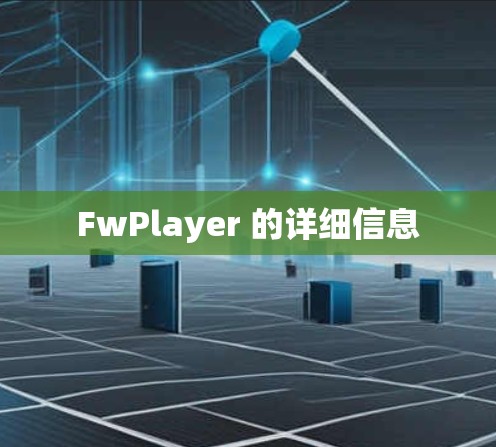 FwPlayer 的详细信息
