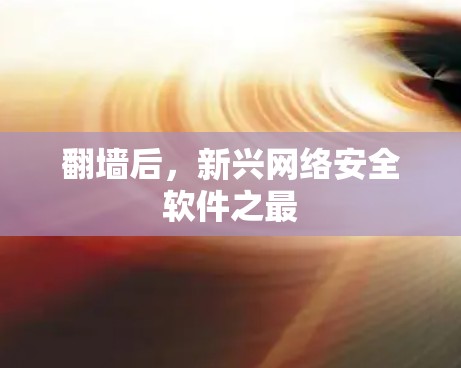 翻墙后，新兴网络安全软件之最
