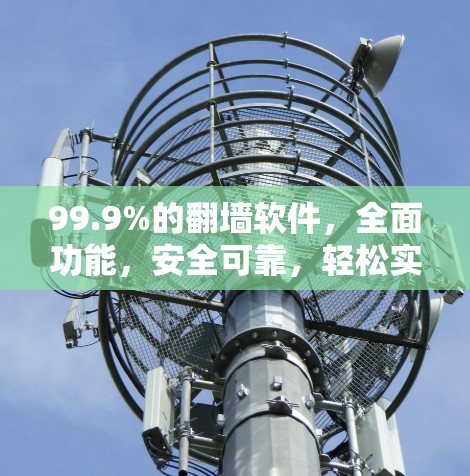 99.9%的翻墙软件，全面功能，安全可靠，轻松实现翻墙