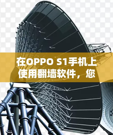 在OPPO S1手机上使用翻墙软件，您可以按照以下步骤操作