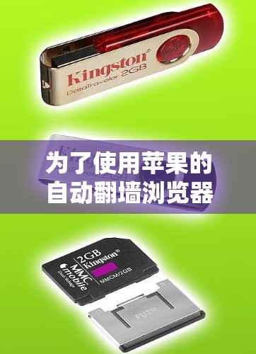 为了使用苹果的自动翻墙浏览器下载软件，您可以按照以下步骤操作