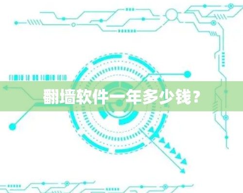 翻墙软件一年多少钱？