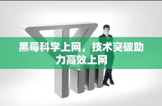 黑莓科学上网，技术突破助力高效上网