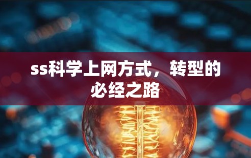 ss科学上网方式，转型的必经之路