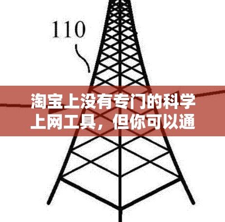 淘宝上没有专门的科学上网工具，但你可以通过以下方法获取科学计算工具