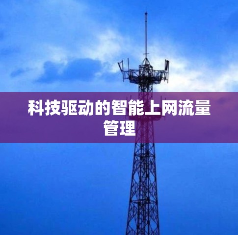 科技驱动的智能上网流量管理