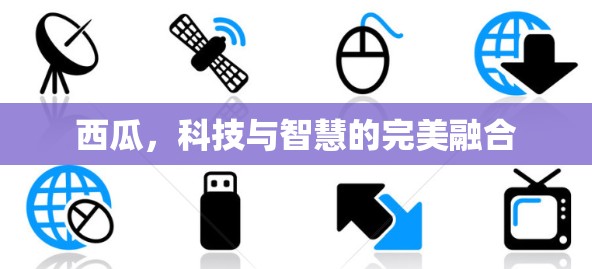 西瓜，科技与智慧的完美融合