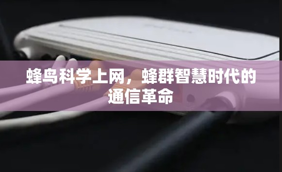 蜂鸟科学上网,蜂群智慧时代的通信革命 蜂鸟科学上网,蜂群智慧时代的通信革命