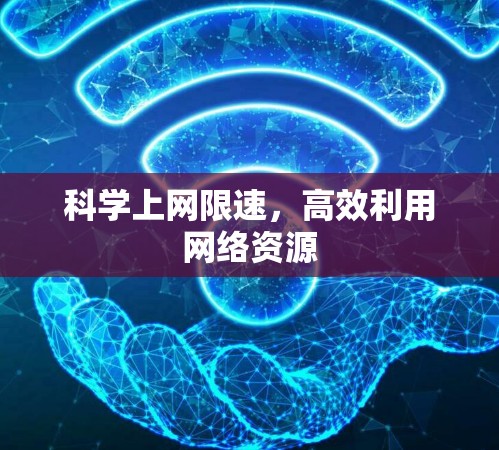 科学上网限速，高效利用网络资源
