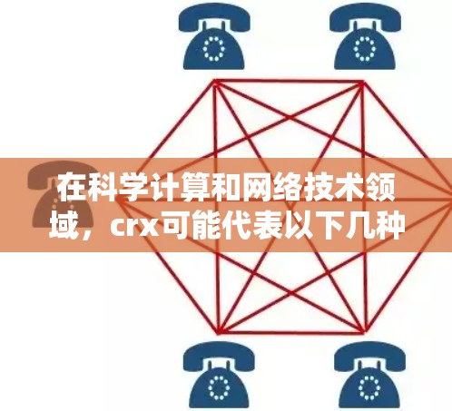 在科学计算和网络技术领域，crx可能代表以下几种含义