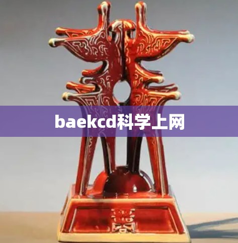 baekcd科学上网