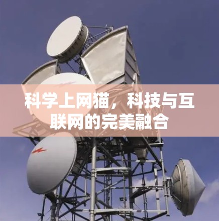 科学上网猫，科技与互联网的完美融合
