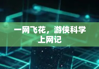 一网飞花，游侠科学上网记