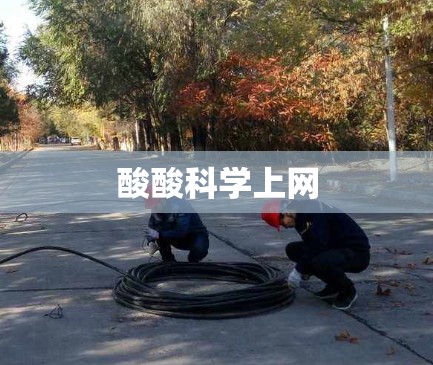 酸酸科学上网 酸酸科学上网