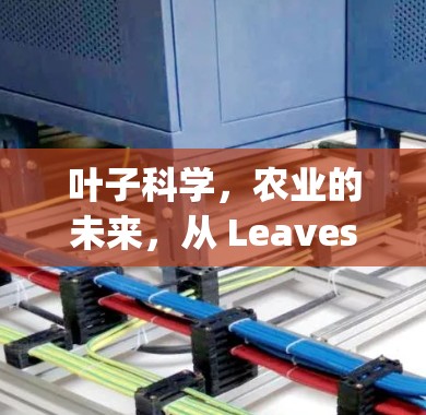 叶子科学,农业的未来,从 Leaves到 Farming 叶子科学,农业的未来,从 Leaves到 Farming