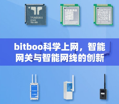bitboo科学上网，智能网关与智能网线的创新解决方案