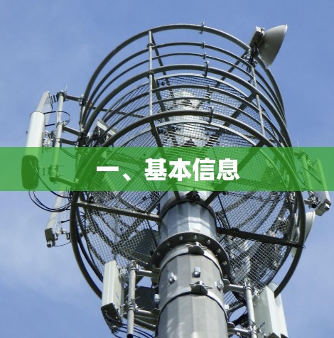 一、基本信息