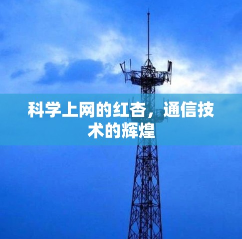 科学上网的红杏，通信技术的辉煌