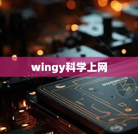 wingy科学上网